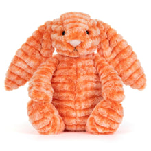 Load image into Gallery viewer, Jellycat Fizzleskip Bunny