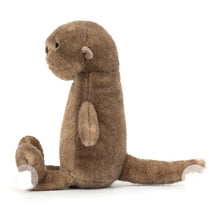 Load image into Gallery viewer, Jellycat Brooke Otter
