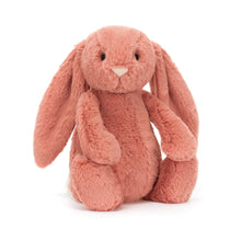 Load image into Gallery viewer, Jellycat Bashful Sorrel Bunny
