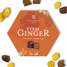 Load image into Gallery viewer, Dark Chocolate Ginger (180g)
