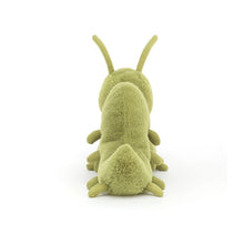 Load image into Gallery viewer, Jellycat Wriggidig Caterpillar
